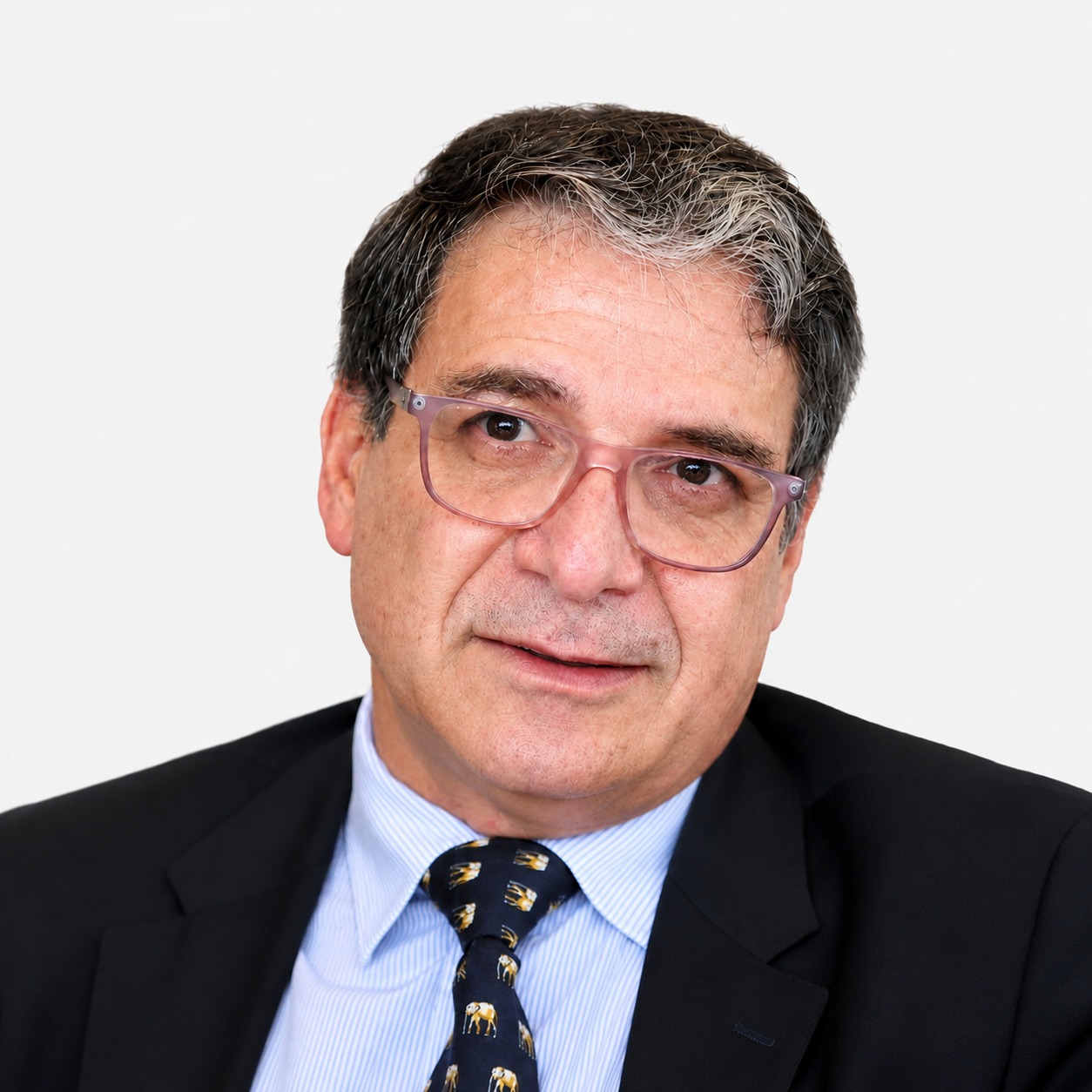 Zooullis Mina